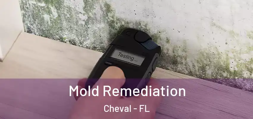 Mold Remediation Cheval - FL