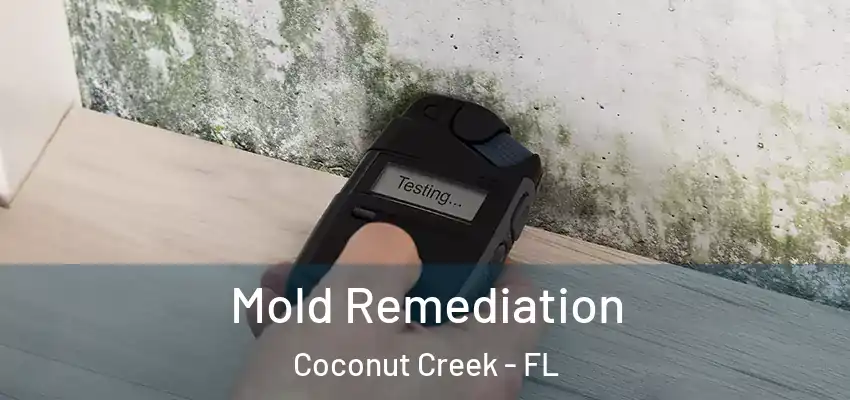  Mold Remediation Coconut Creek - FL