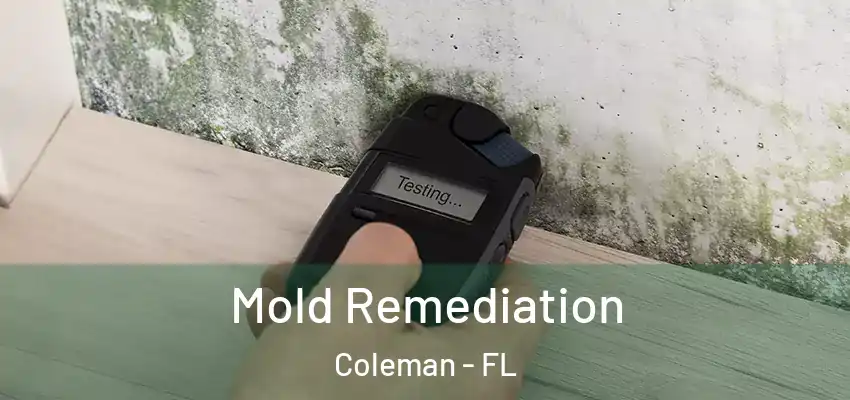  Mold Remediation Coleman - FL