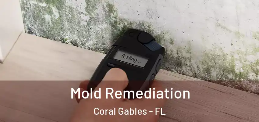  Mold Remediation Coral Gables - FL