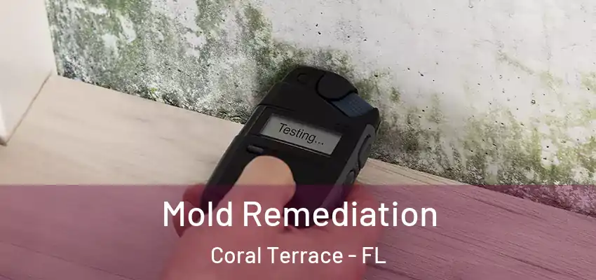 Mold Remediation Coral Terrace - FL