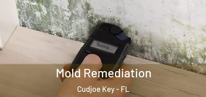  Mold Remediation Cudjoe Key - FL