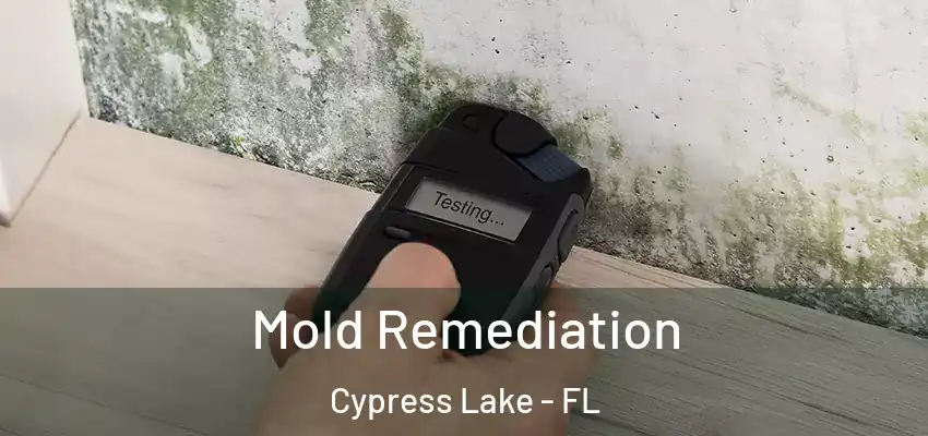  Mold Remediation Cypress Lake - FL