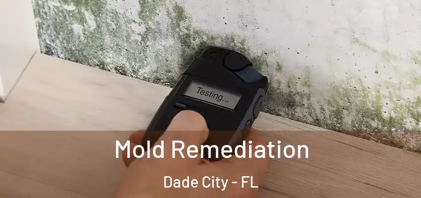  Mold Remediation Dade City - FL