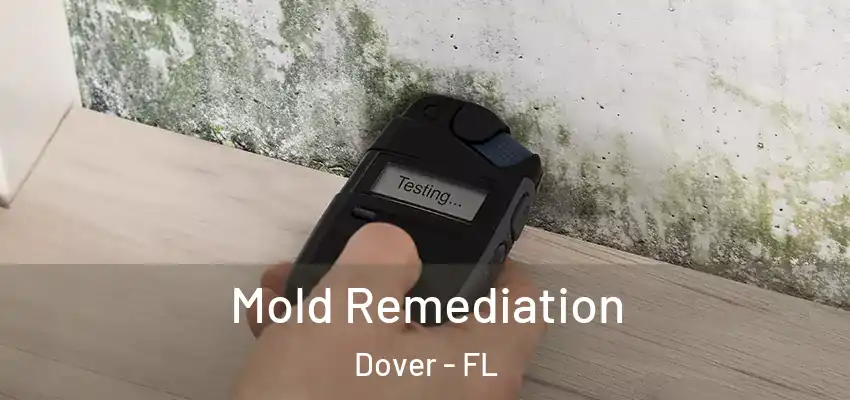  Mold Remediation Dover - FL