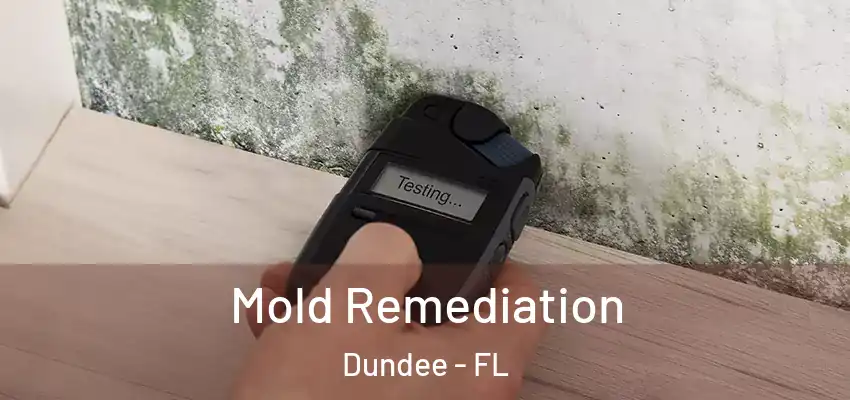 Mold Remediation Dundee - FL