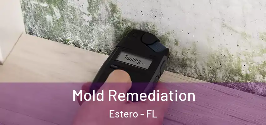 Mold Remediation Estero - FL
