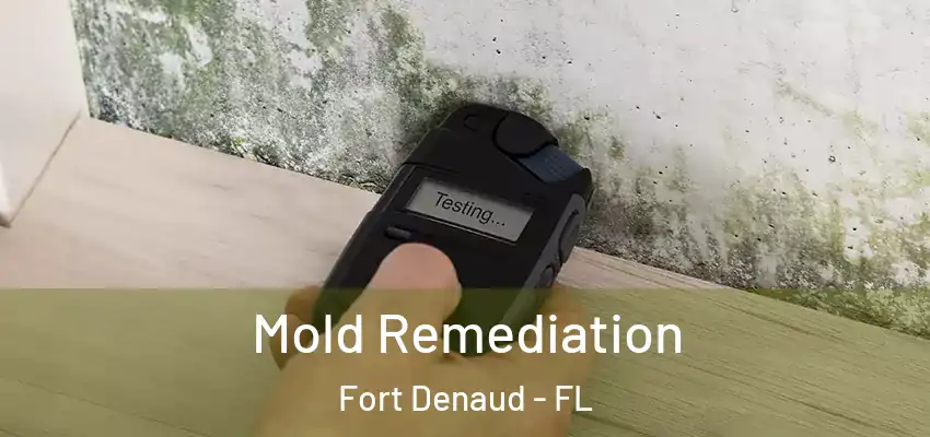  Mold Remediation Fort Denaud - FL
