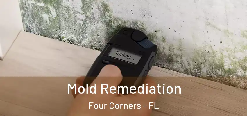 Mold Remediation Four Corners - FL