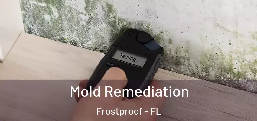 Mold Remediation Frostproof - FL