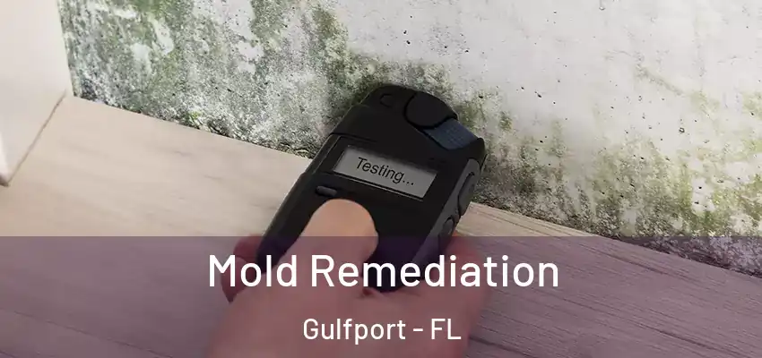  Mold Remediation Gulfport - FL