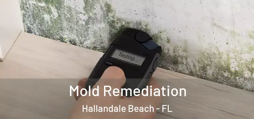  Mold Remediation Hallandale Beach - FL