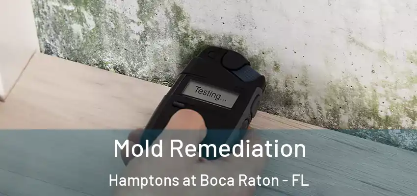  Mold Remediation Hamptons at Boca Raton - FL