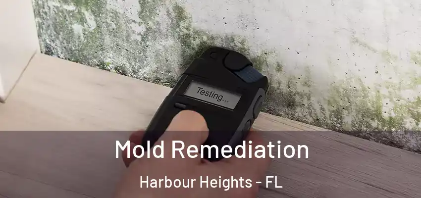  Mold Remediation Harbour Heights - FL