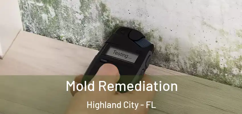 Mold Remediation Highland City - FL