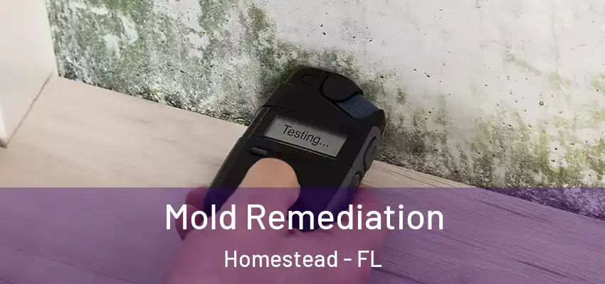  Mold Remediation Homestead - FL