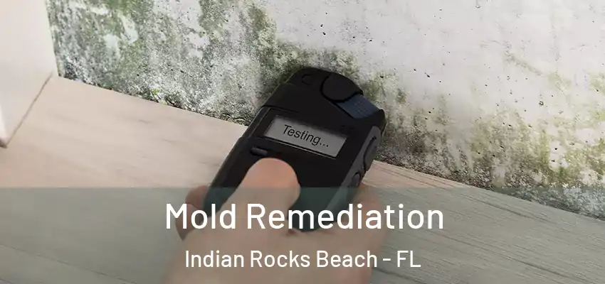Mold Remediation Indian Rocks Beach - FL