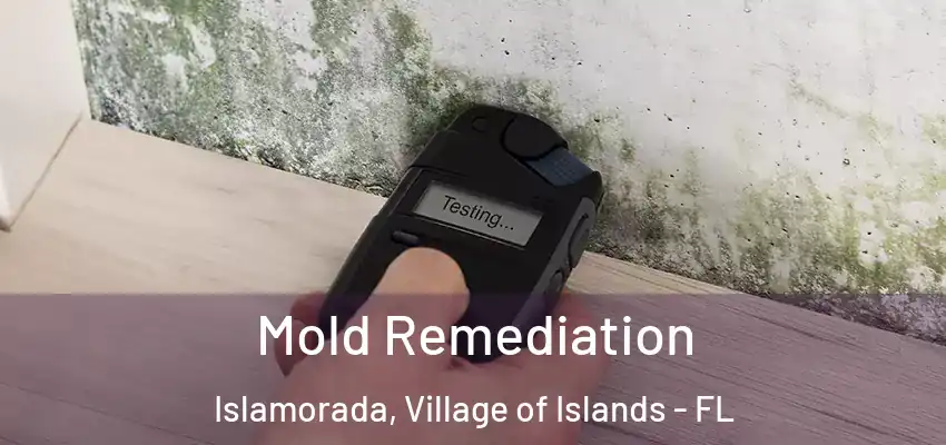 Mold Remediation Islamorada, Village of Islands - FL