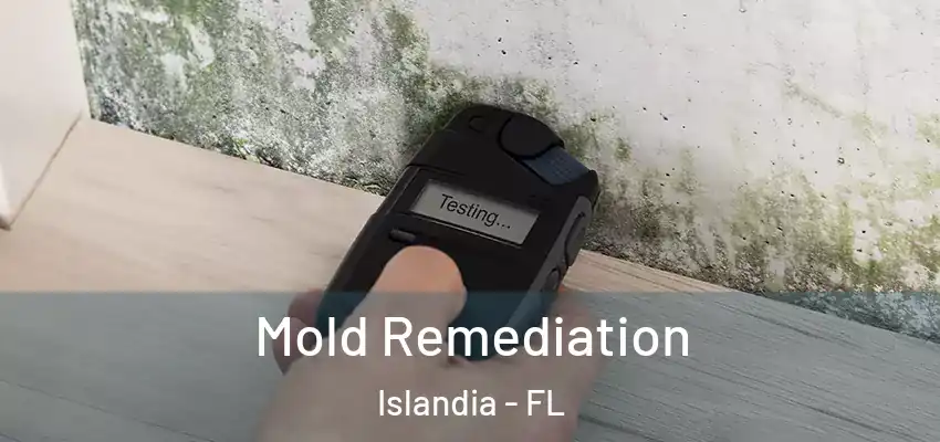 Mold Remediation Islandia - FL