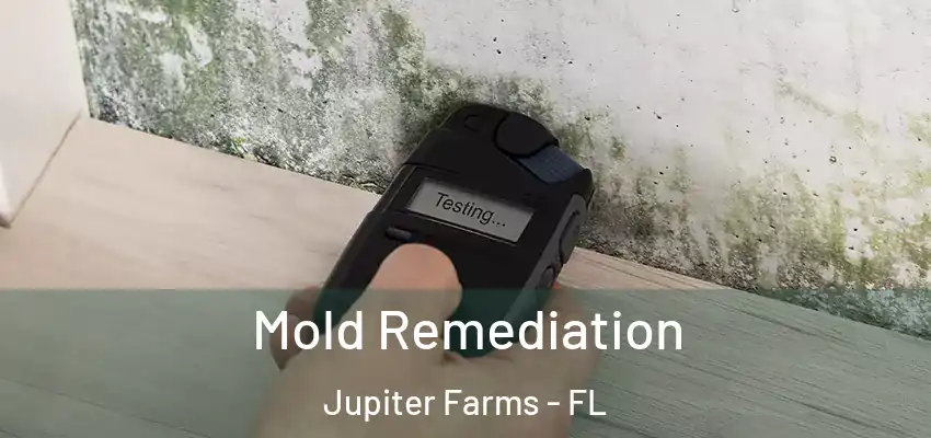  Mold Remediation Jupiter Farms - FL