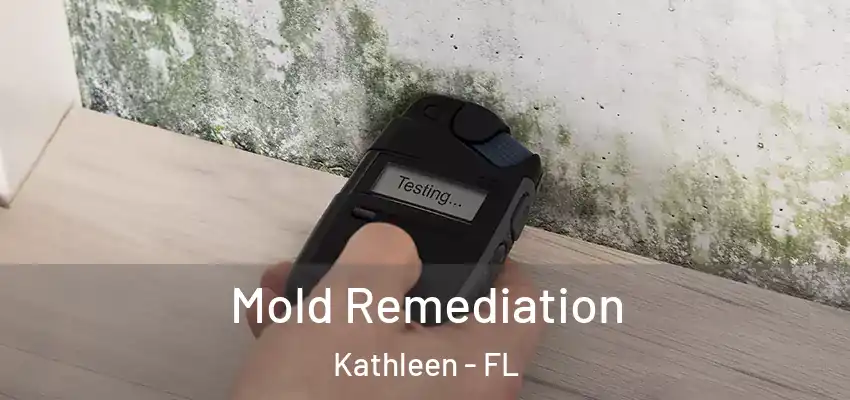  Mold Remediation Kathleen - FL