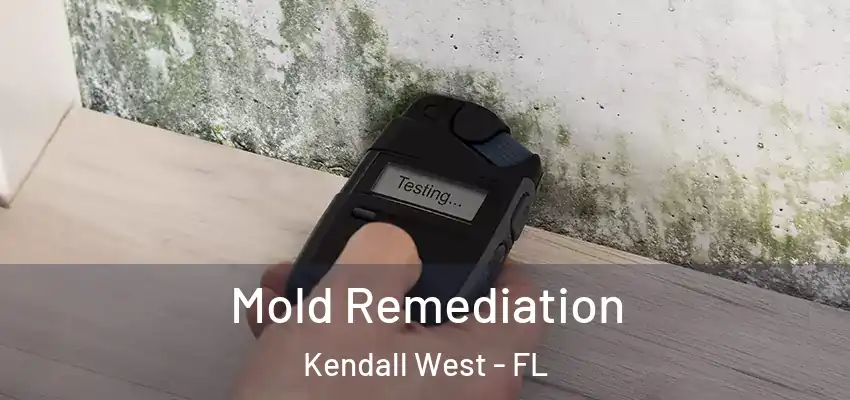  Mold Remediation Kendall West - FL