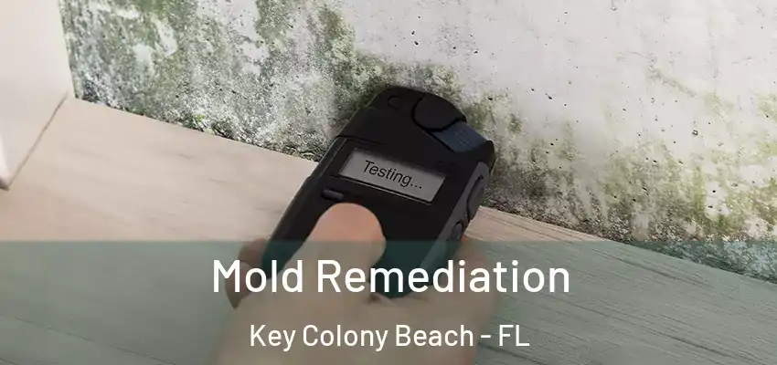  Mold Remediation Key Colony Beach - FL