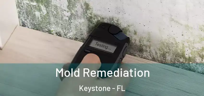 Mold Remediation Keystone - FL