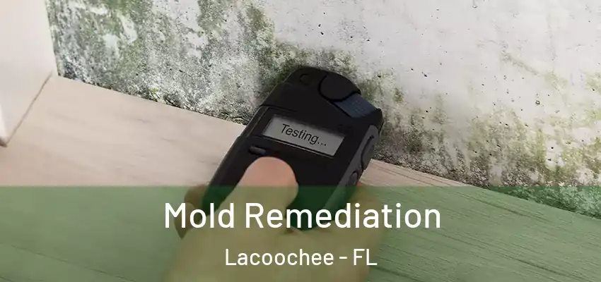  Mold Remediation Lacoochee - FL