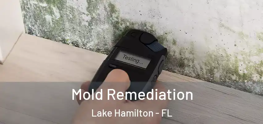  Mold Remediation Lake Hamilton - FL