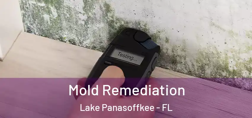 Mold Remediation Lake Panasoffkee - FL