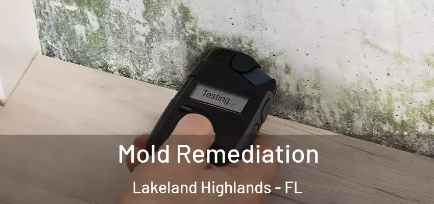  Mold Remediation Lakeland Highlands - FL