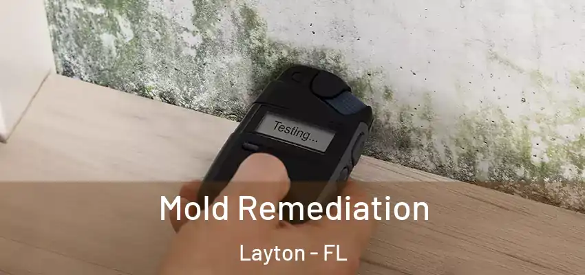  Mold Remediation Layton - FL