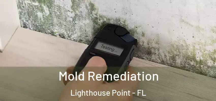  Mold Remediation Lighthouse Point - FL