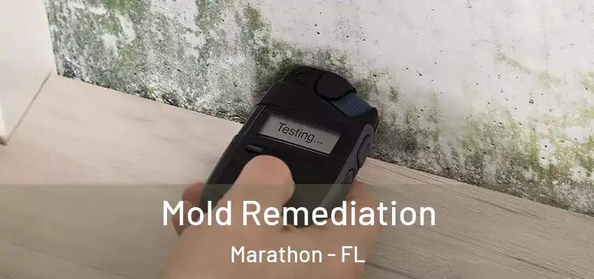 Mold Remediation Marathon - FL