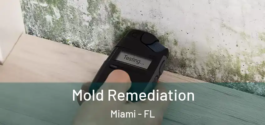  Mold Remediation Miami - FL