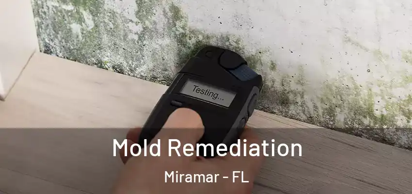 Mold Remediation Miramar - FL