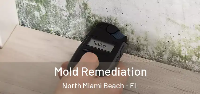 Mold Remediation North Miami Beach - FL