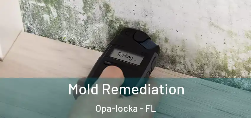 Mold Remediation Opa-locka - FL