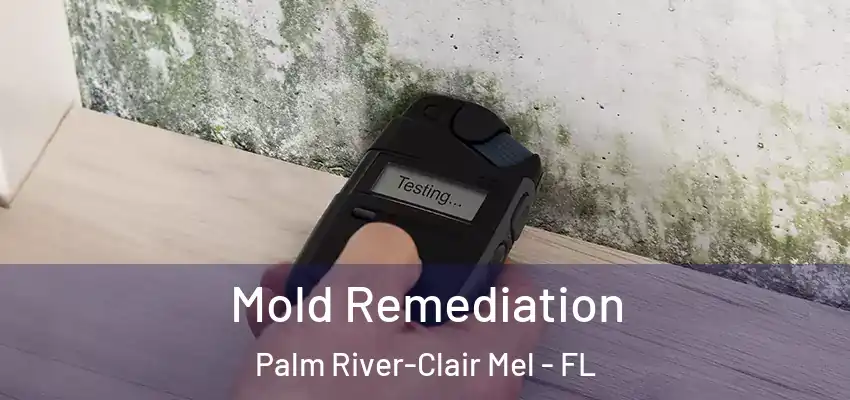  Mold Remediation Palm River-Clair Mel - FL