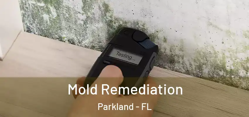  Mold Remediation Parkland - FL