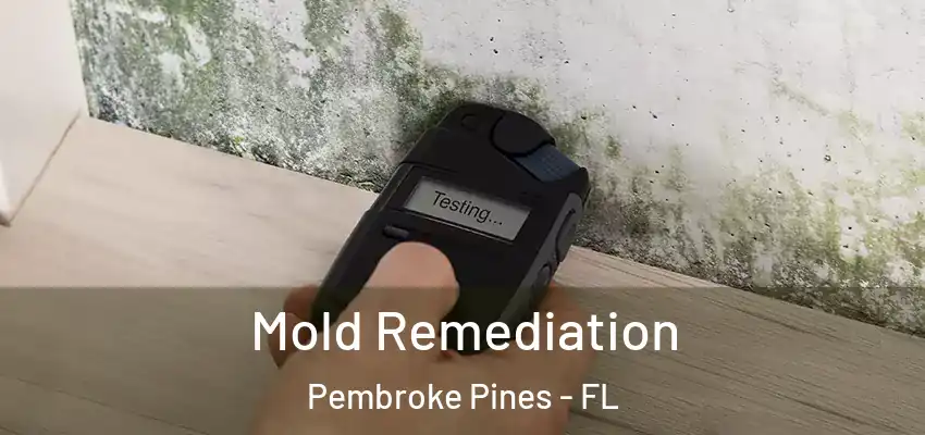 Mold Remediation Pembroke Pines - FL