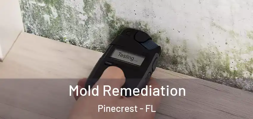 Mold Remediation Pinecrest - FL