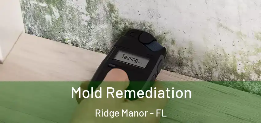  Mold Remediation Ridge Manor - FL