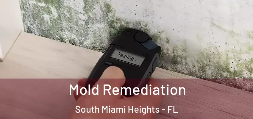 Mold Remediation South Miami Heights - FL