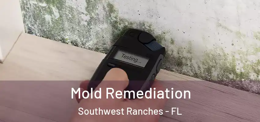 Mold Remediation Southwest Ranches - FL