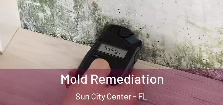 Mold Remediation Sun City Center - FL