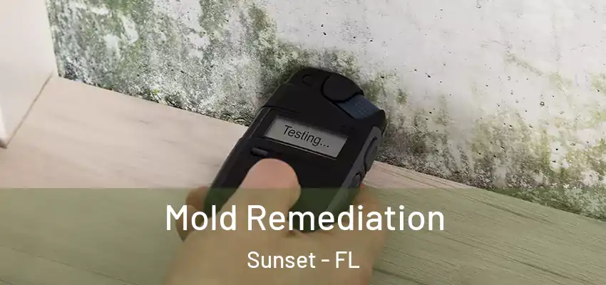 Mold Remediation Sunset - FL