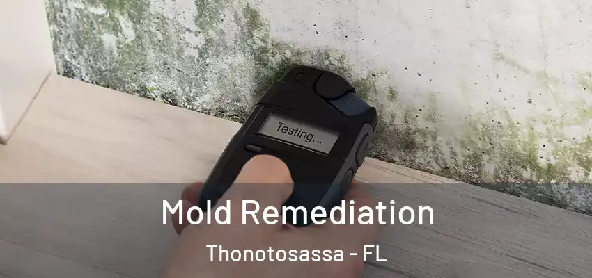  Mold Remediation Thonotosassa - FL