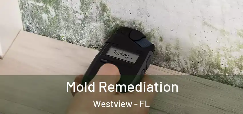 Mold Remediation Westview - FL